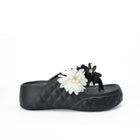 SUPER SOFT JUMPY SOLE|WG-Z011